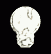 Animations - 521